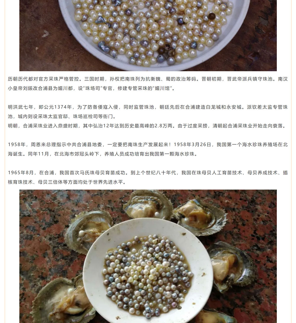 古老南珠，綻放異彩