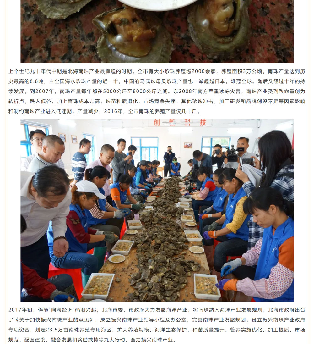 古老南珠，綻放異彩