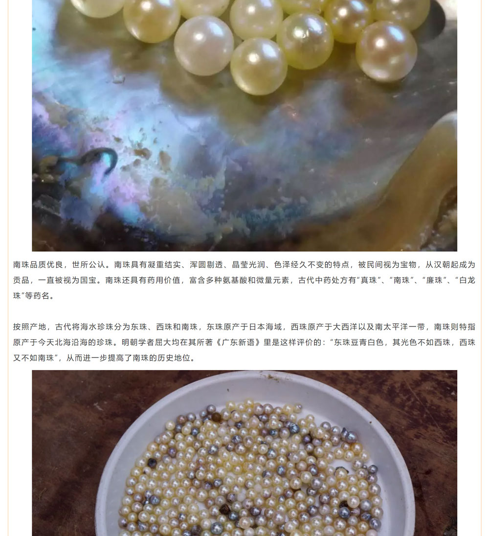 古老南珠，綻放異彩